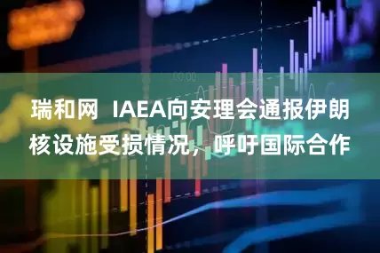 瑞和网  IAEA向安理会通报伊朗核设施受损情况，呼吁国际合作