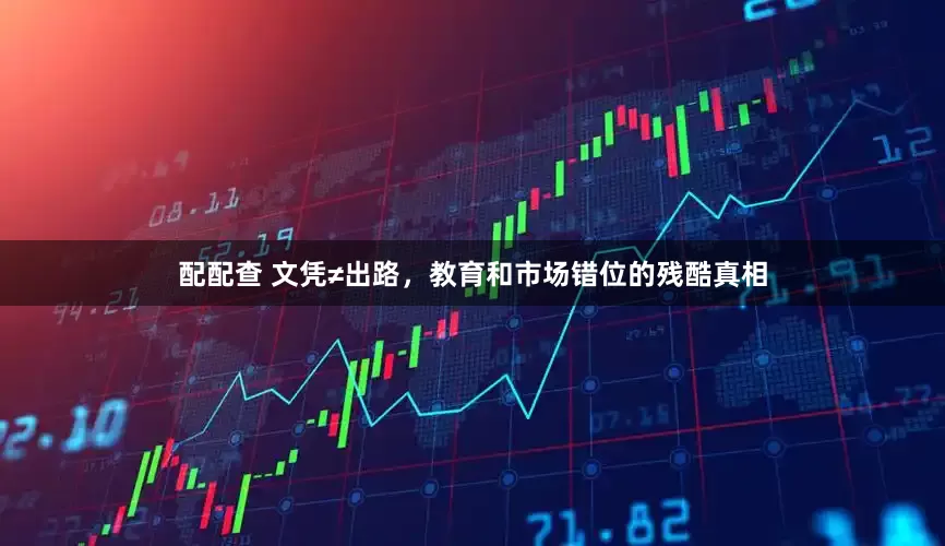 配配查 文凭≠出路，教育和市场错位的残酷真相