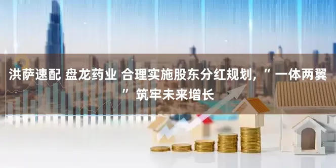 洪萨速配 盘龙药业 合理实施股东分红规划, “ 一体两翼” 筑牢未来增长